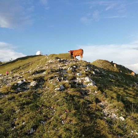 Cahute De Montagne Pour Profiter Du Haut Jura Prémanon 외부 사진
