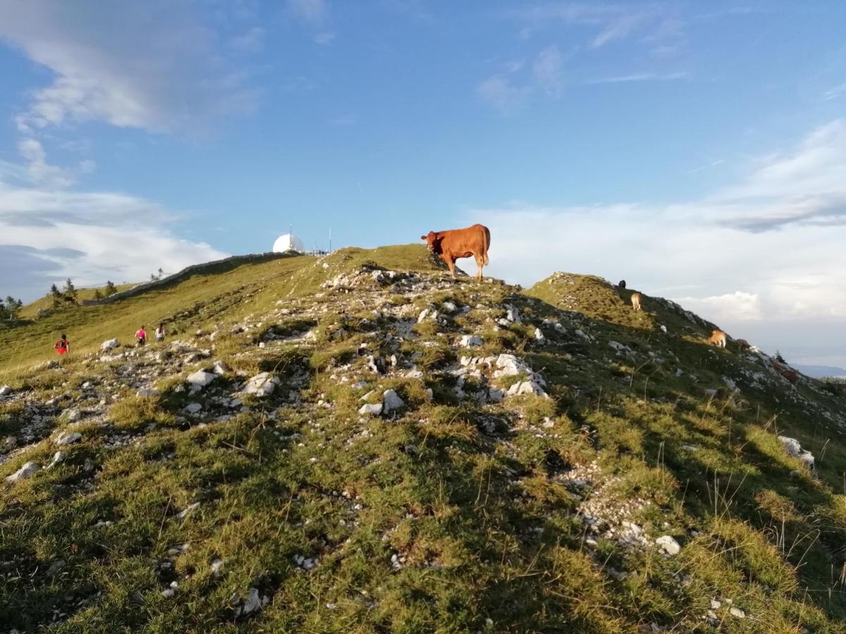 Cahute De Montagne Pour Profiter Du Haut Jura Prémanon 외부 사진