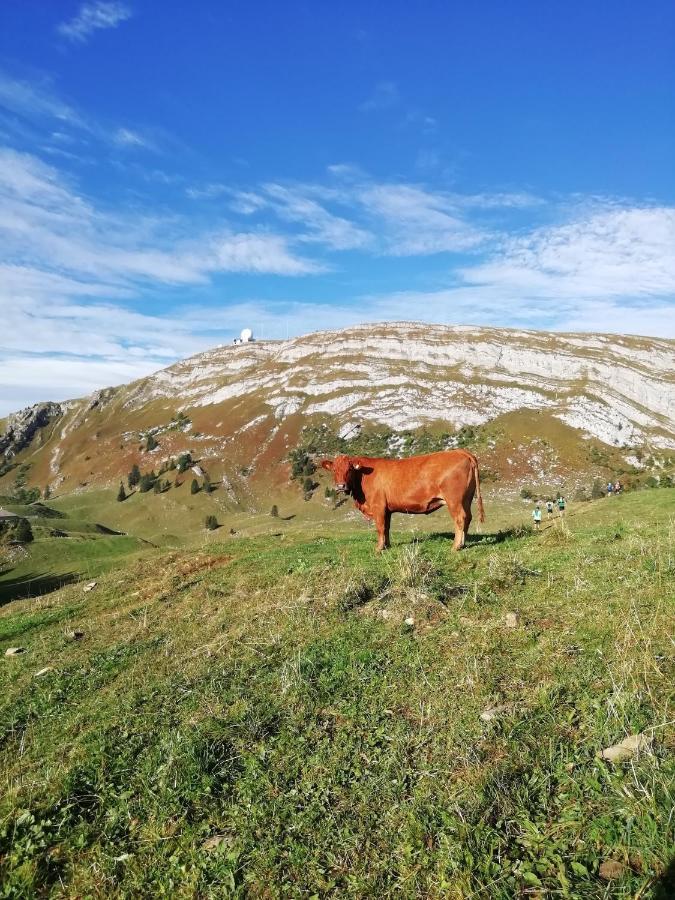 Cahute De Montagne Pour Profiter Du Haut Jura Prémanon 외부 사진