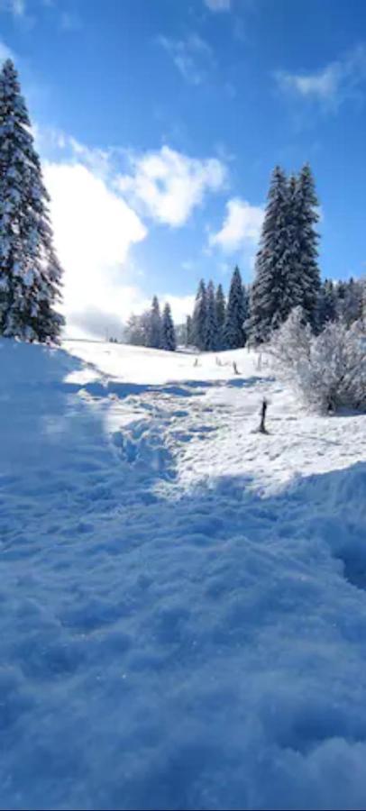 Cahute De Montagne Pour Profiter Du Haut Jura Prémanon 외부 사진