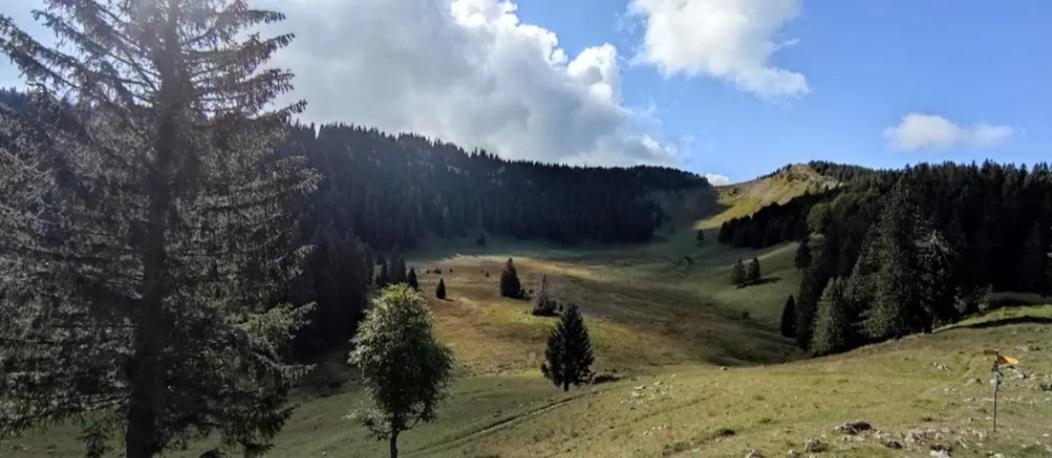Cahute De Montagne Pour Profiter Du Haut Jura Prémanon 외부 사진